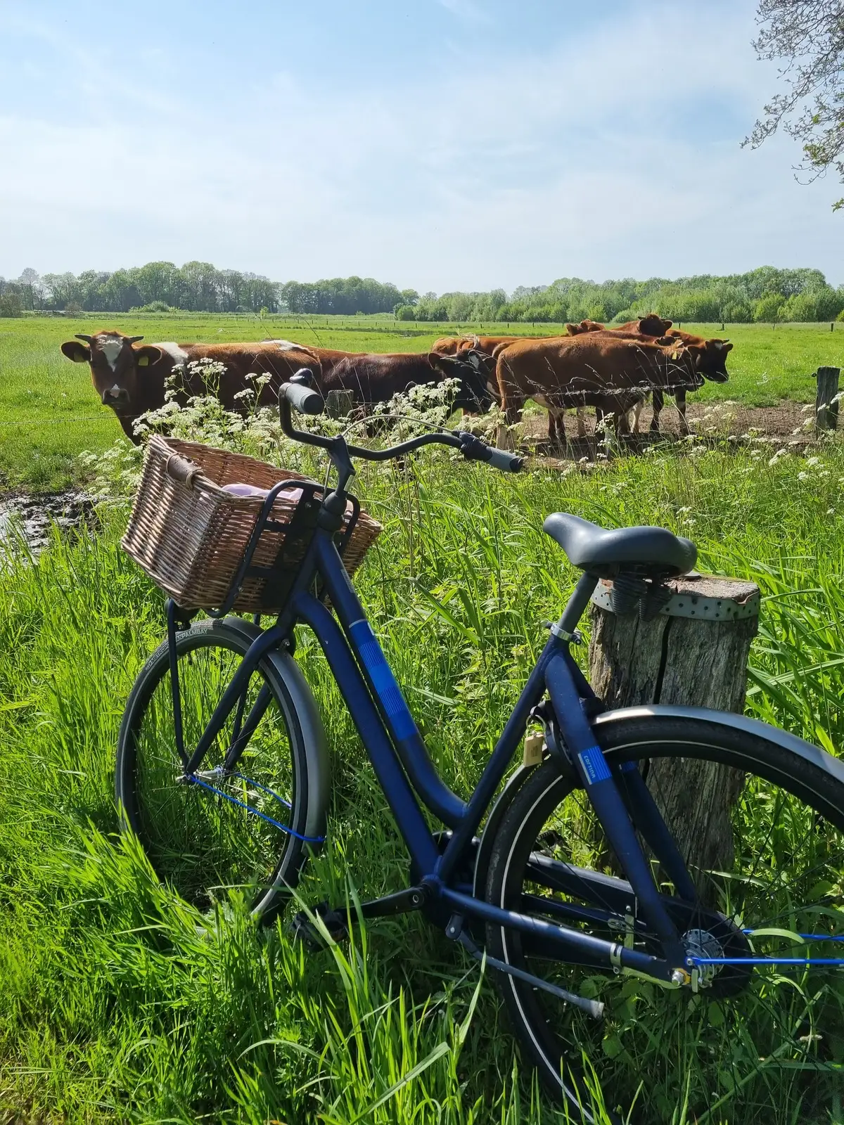 Fiets tegen weidepaal aan