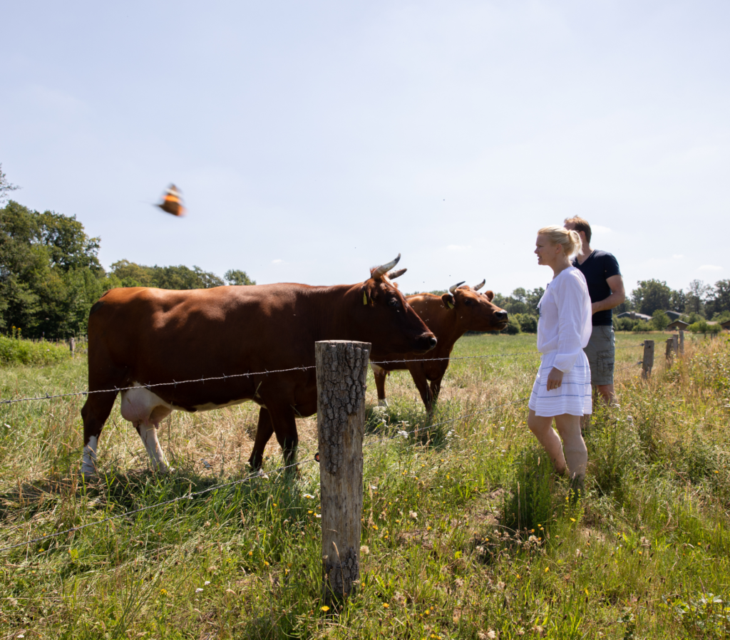 Luxe logeren en eten bij Erfgoed Bossem foto 1